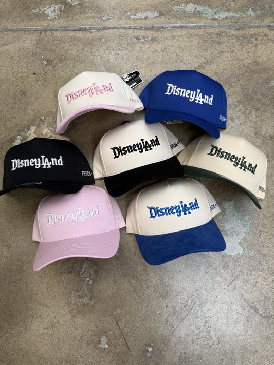 FRNDS+FLWRS DisneyLAnd A-Frame Snapback