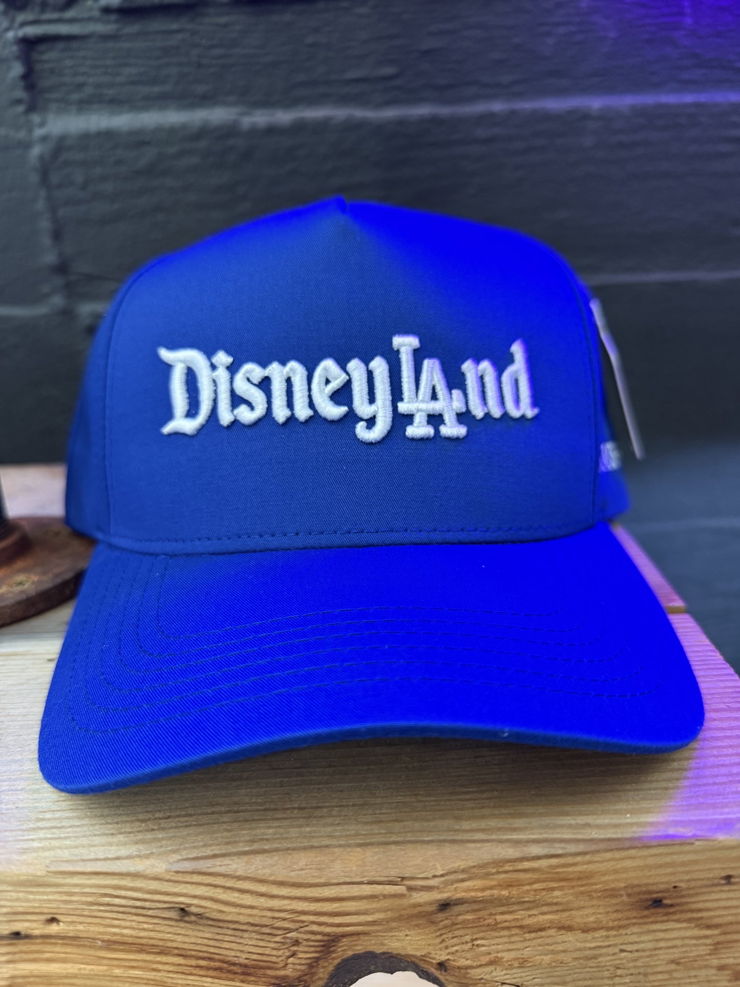 FRNDS+FLWRS DisneyLAnd A-Frame Snapback