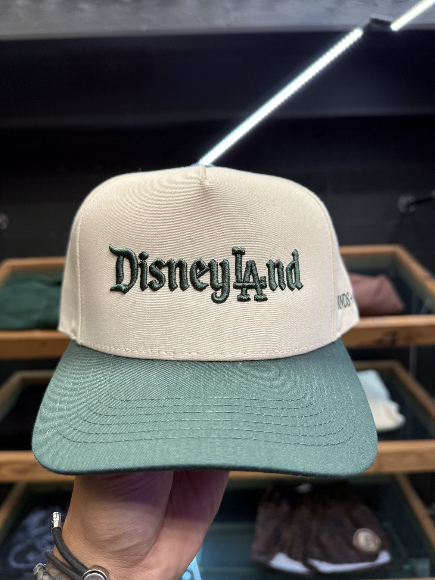 FRNDS+FLWRS DisneyLAnd A-Frame Snapback