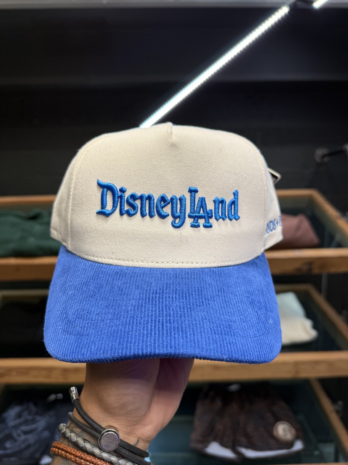 FRNDS+FLWRS DisneyLAnd A-Frame Snapback