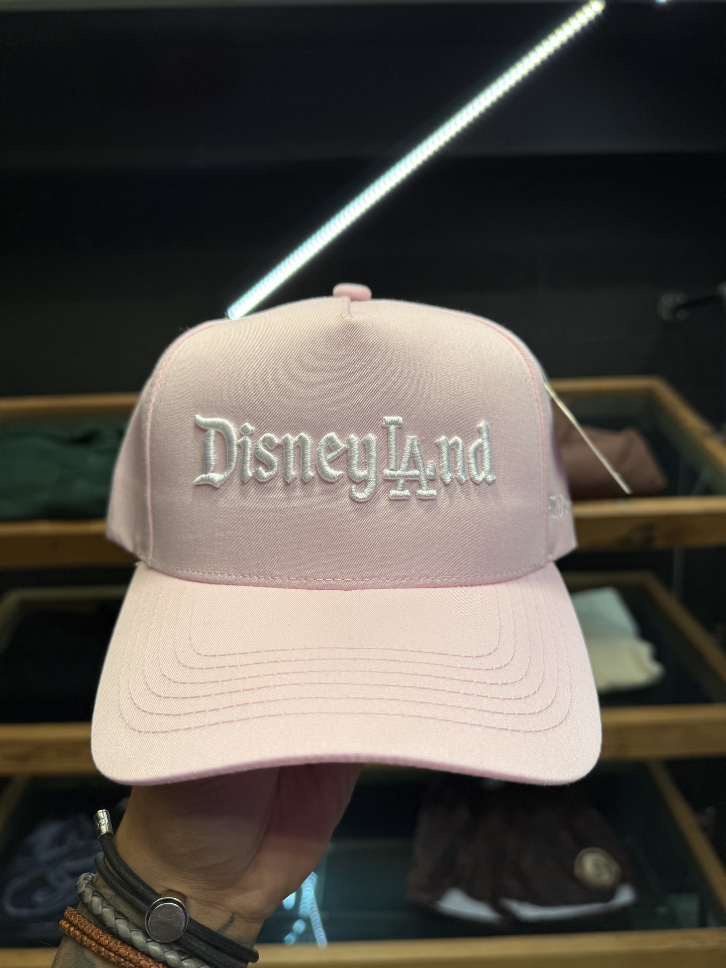 FRNDS+FLWRS DisneyLAnd A-Frame Snapback