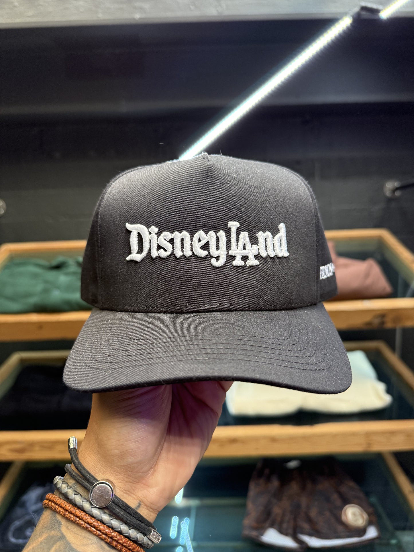 FRNDS+FLWRS DisneyLAnd A-Frame Snapback