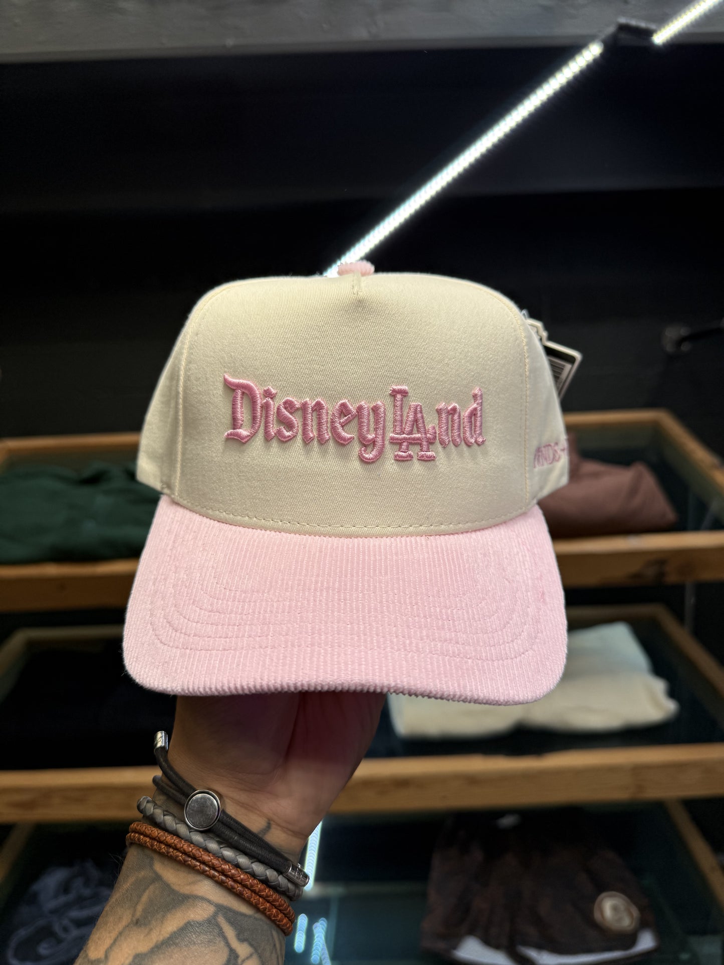 FRNDS+FLWRS DisneyLAnd A-Frame Snapback